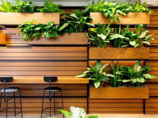 Plants have a number of benefits in the office.