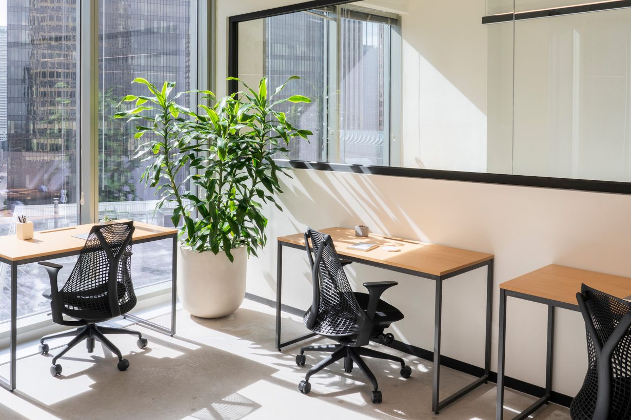 Floor-to-ceiling windows fill private offices and suites with soft, natural light.