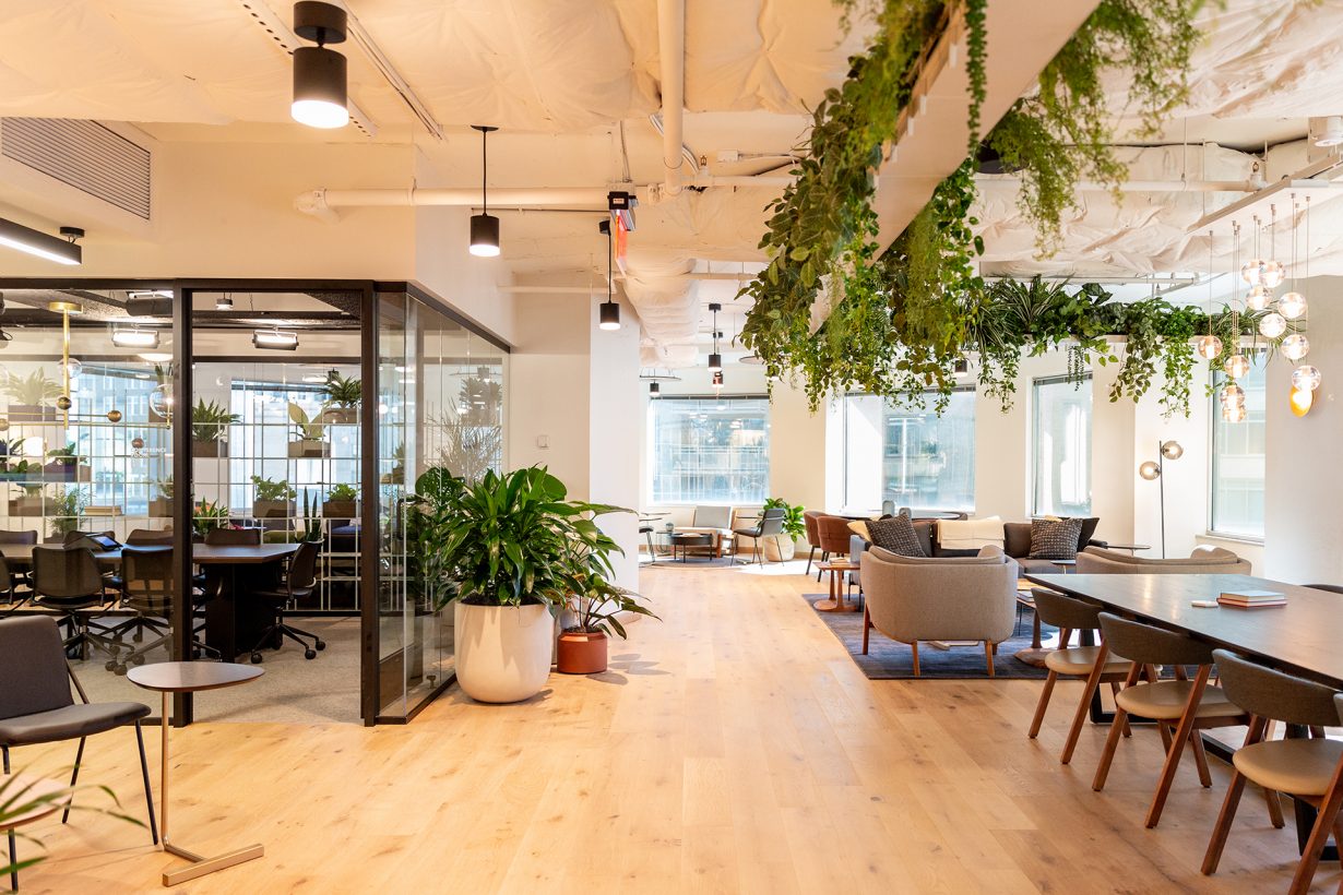 Natural light fills the workspace’s common areas thanks to its floor-to-ceiling windows.